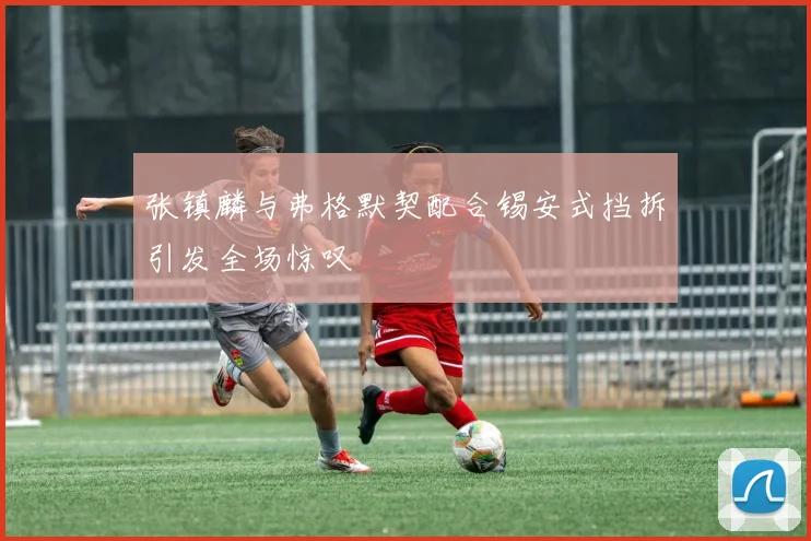 张镇麟与弗格默契配合锡安式挡拆引发全场惊叹