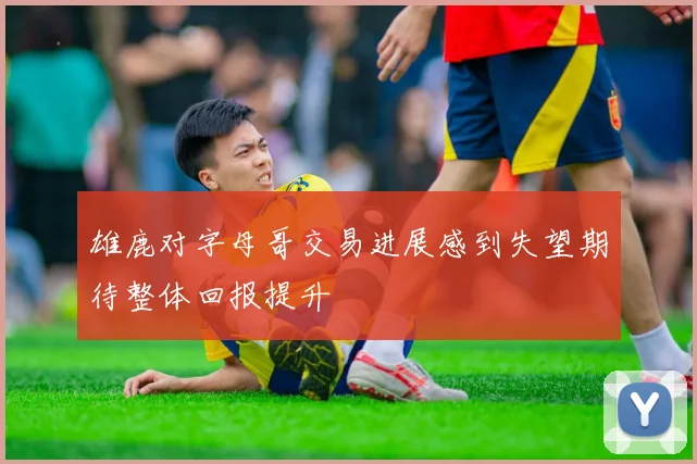 雄鹿对字母哥交易进展感到失望期待整体回报提升