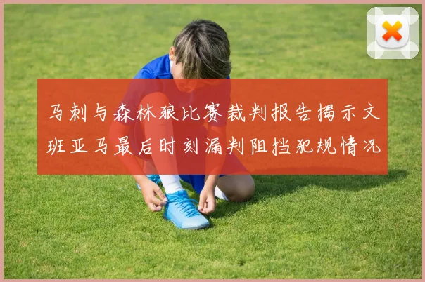 马刺与森林狼比赛裁判报告揭示文班亚马最后时刻漏判阻挡犯规情况