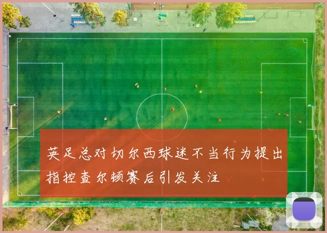 英足总对切尔西球迷不当行为提出指控查尔顿赛后引发关注